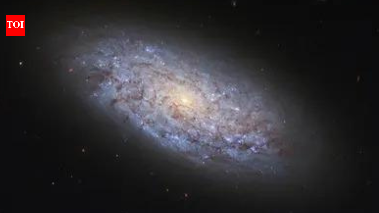 छोटी आकाशगंगाएँ, बड़े प्रश्न: अध्ययन बौने प्रणालियों में ब्लैक होल की जांच करता है