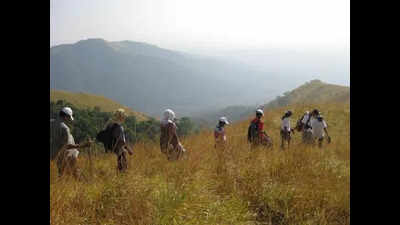 Karnataka forest department charts out SOP to keep trekkers safe