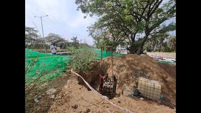 Navi Mumbai Municipal Corporation seeks IIT-Bombay’s inputs to rework Palm Beach Road underpass to save maximum number of trees