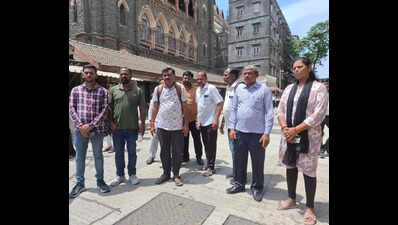 Reply to PIL seeking financial assistance for treatment and care of patients of rare neurological disorder caused by mutated measles virus, Bombay high court tells Centre