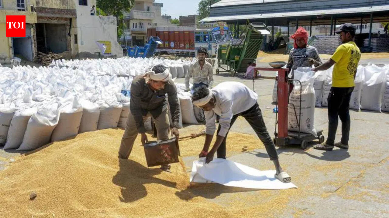 Centre relaxes wheat procurement norms for Punjab | Chandigarh News ...