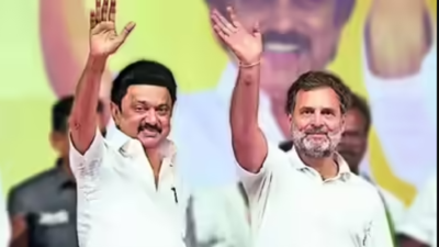 Rahul, Stalin unlikely to share stage during poll campaign on Saturday