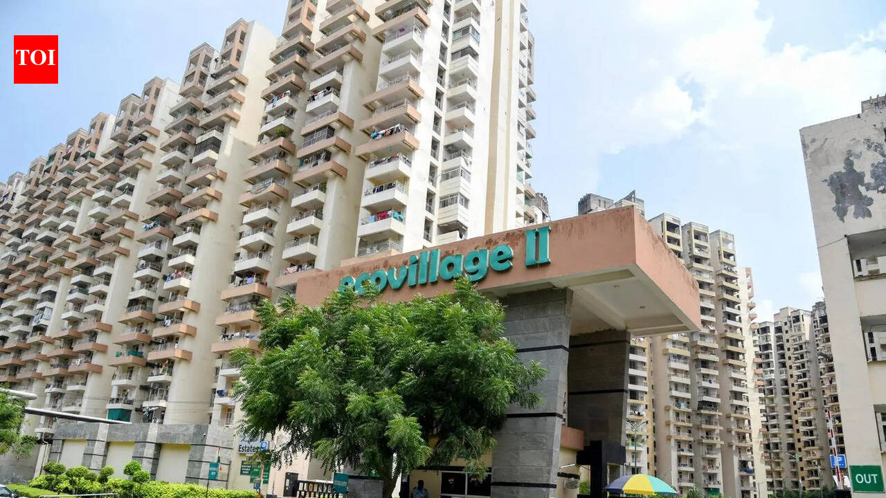 Repair in 30 days, panel tells builder after seepage in Greater Noida flat