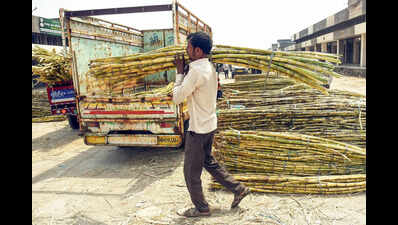 Low yield, raw material diversion lead to dip in UP’s sugar production