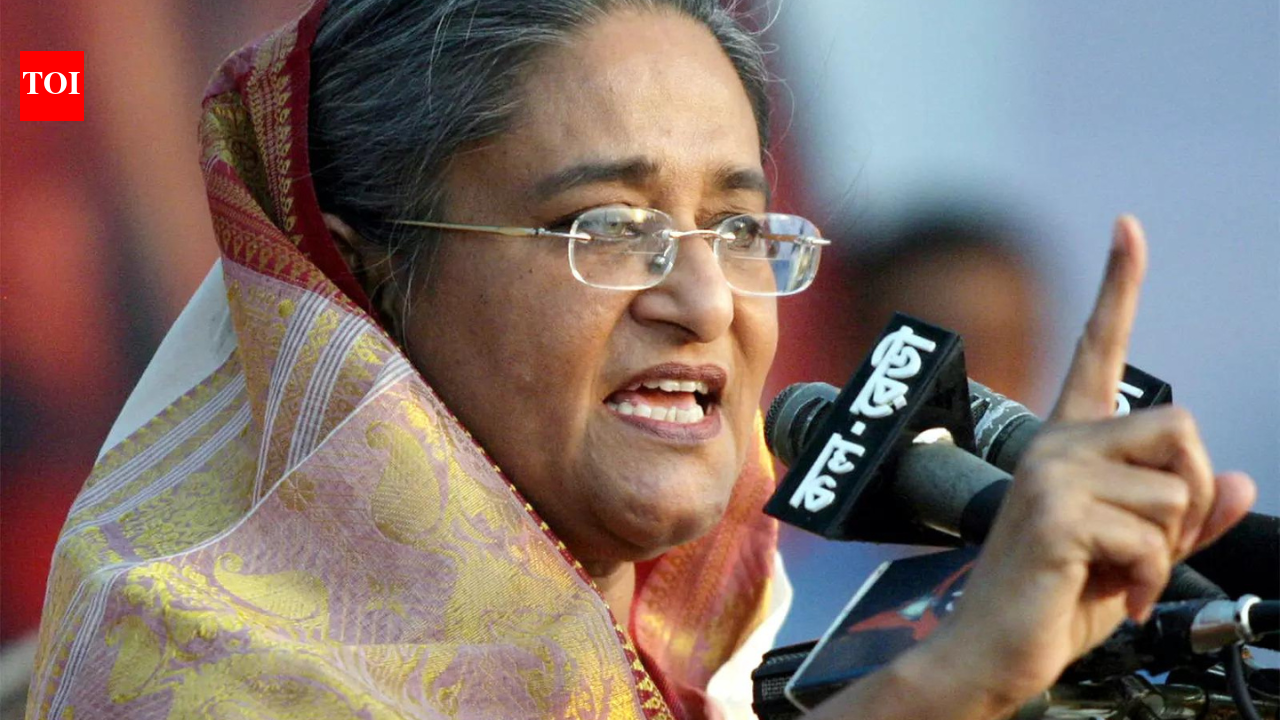 Government: Sheikh Hasina extradition plea under review