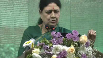 Tamil Nadu polls: Sasikala, Ramadoss may play spoilsport for AIADMK | India News – The Times of India