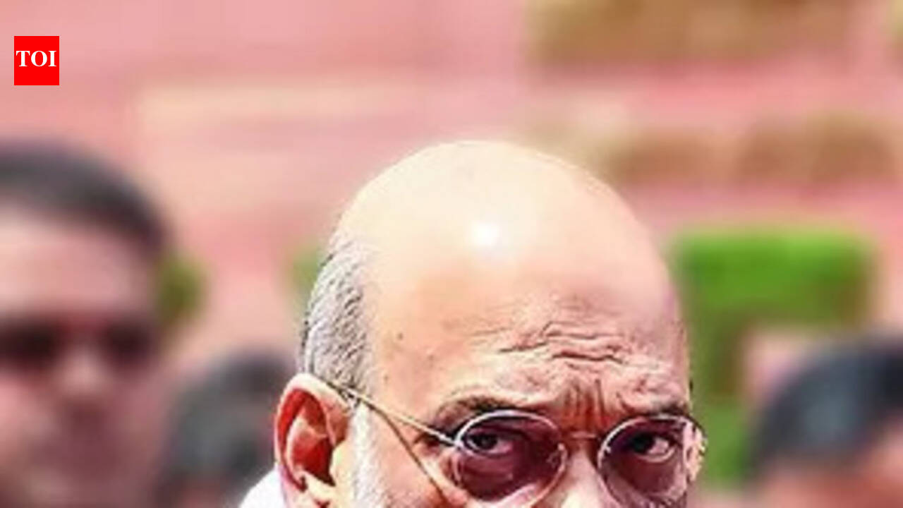 Delimitation needed to preserve one vote, one value: Amit Shah in Lok Sabha