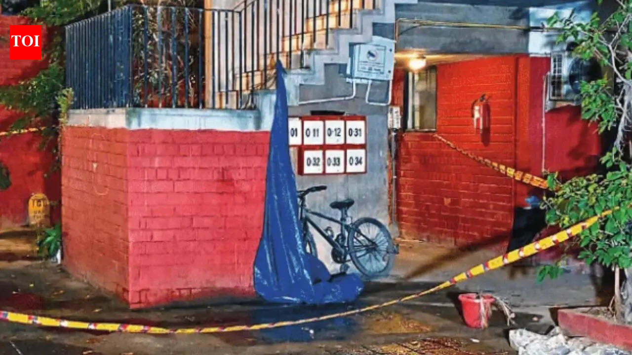 Father-son duo stabbed to death in south Delhi’s Alaknanda, neighbour on run