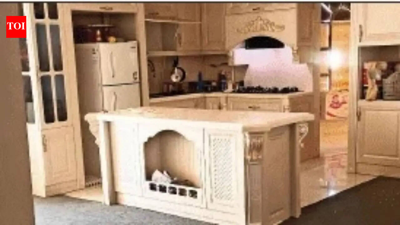 ‘Won’t leave’: Desi student lives alone in 9-storey building