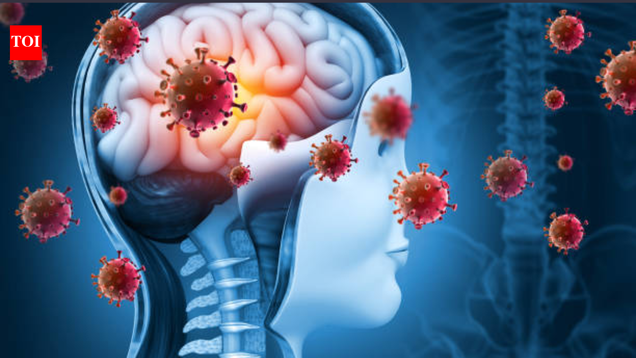 UK reports fresh meningitis cases in Weymouth, Dorset: Health officials urge caution