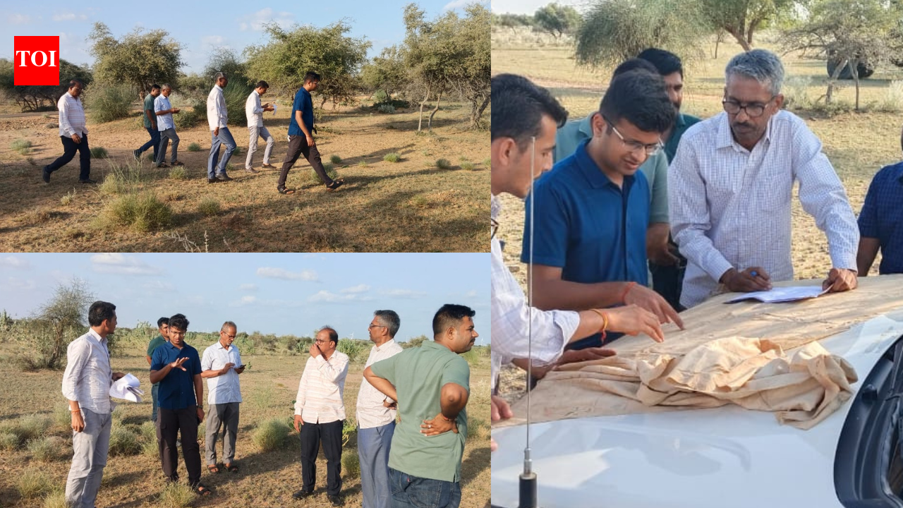 Rajasthan reserves over 22,000 bigha Oran land for conservation