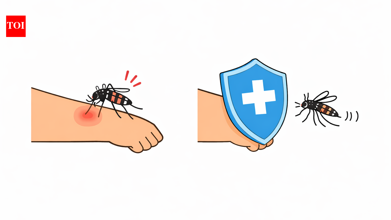 India approves its first dengue vaccine. How it could protect you against dengue