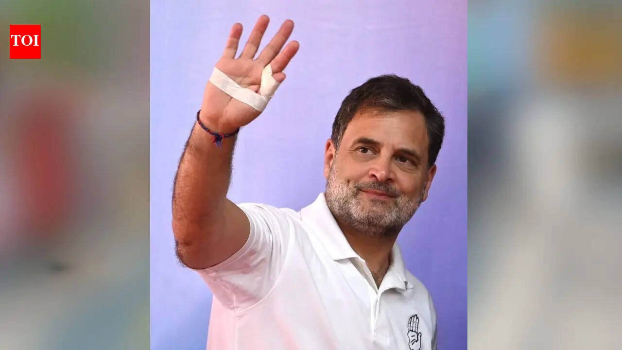PM Narendra Modi, Amit Shah want to rule Tamil Nadu from Delhi: Rahul Gandhi
