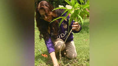 Juhi Chawla leads plantation drive in Kolkata