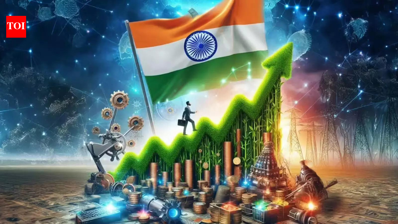 India remains among best-performing major economies: S&P Global