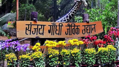 Bihar’s first treetop walkway planned at Patna zoo