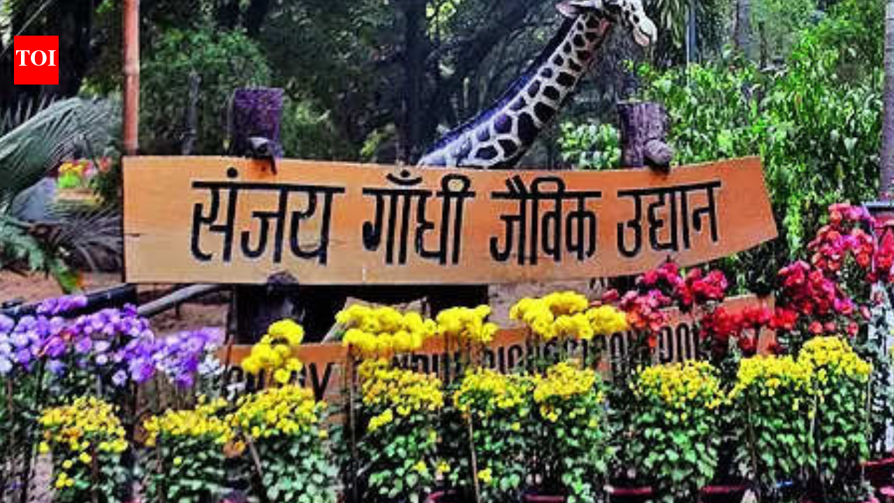 Bihar’s first treetop walkway planned at Patna zoo