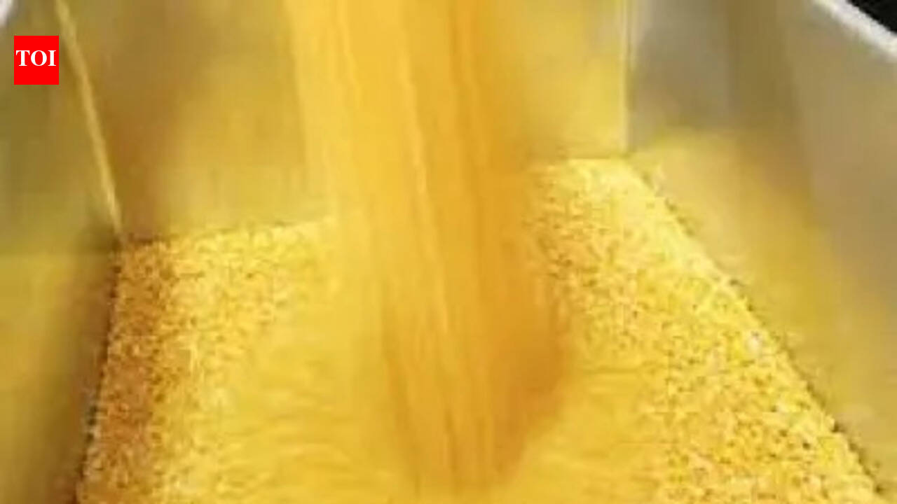 State gets nod for gram, mustard procurement at MSP