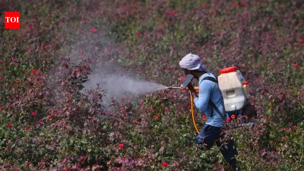 Kharif prep: AP stocks 7.31 lakh tonnes of fertilisers, tightens vigilance