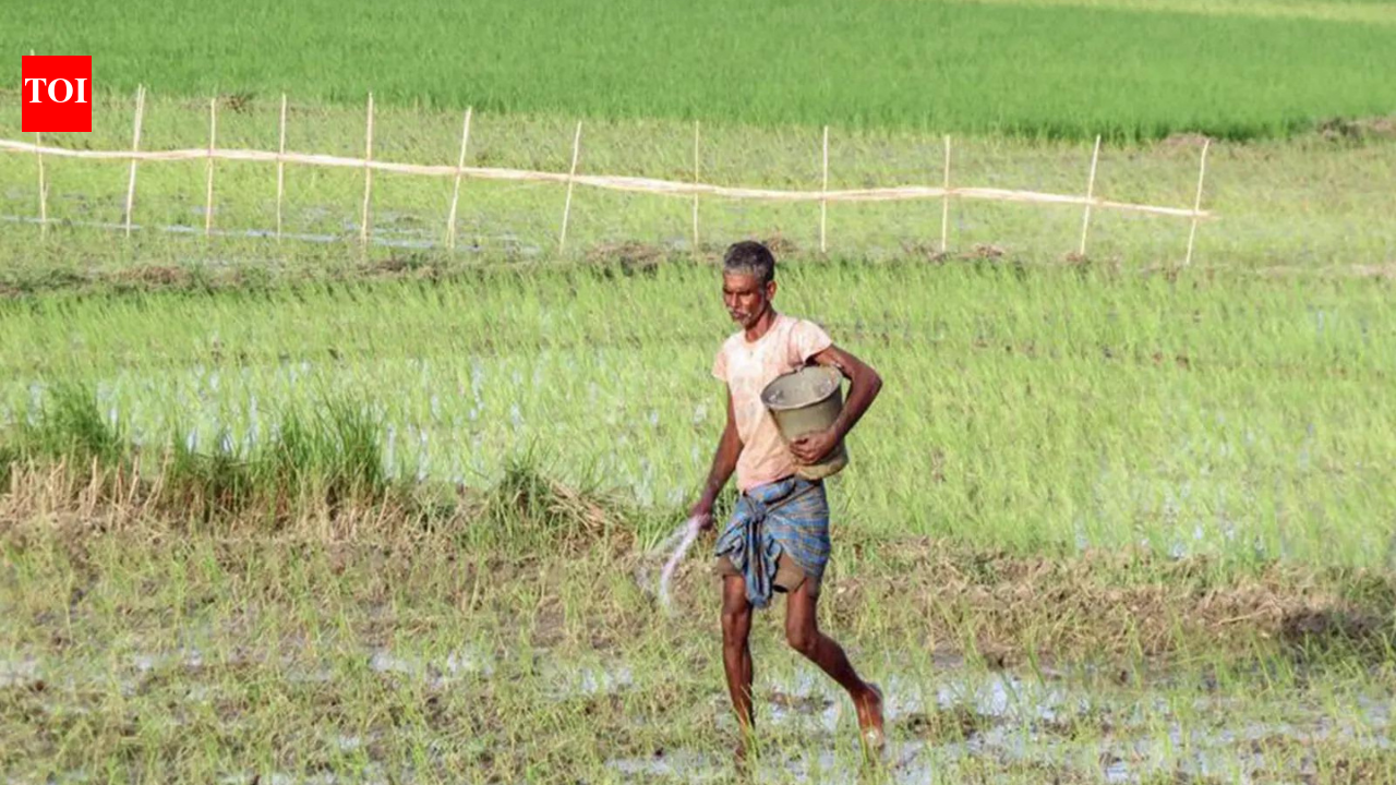 Govt says El Nino risk to farm output manageable, cites irrigation, reservoirs, seed buffers – The Times of India