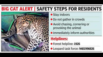 Leopard sighting: Forest dept issues advisory