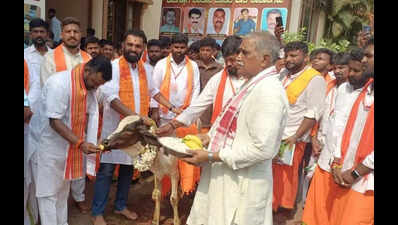 We want to protect cows, unite society: Bajrang Dal