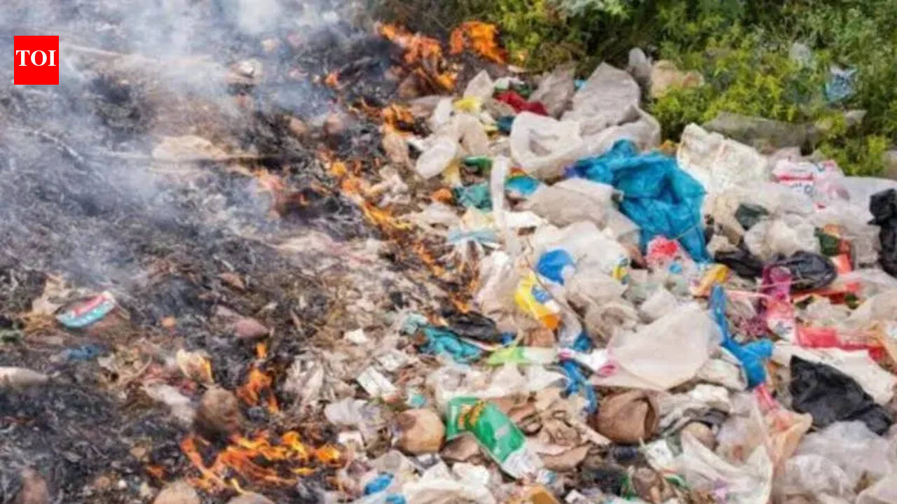 Rural Belagavi struggles with mounting waste management issues