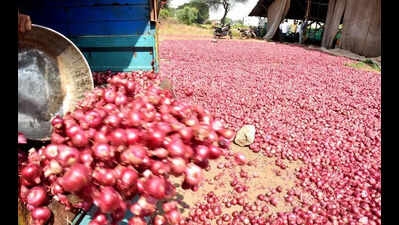Summer onion production may decline by 29% this season in Nashik district, but shortage risks unlikely