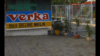 Probe sought into multi-crore ‘fodder seed scam’ at Verka milk plant
