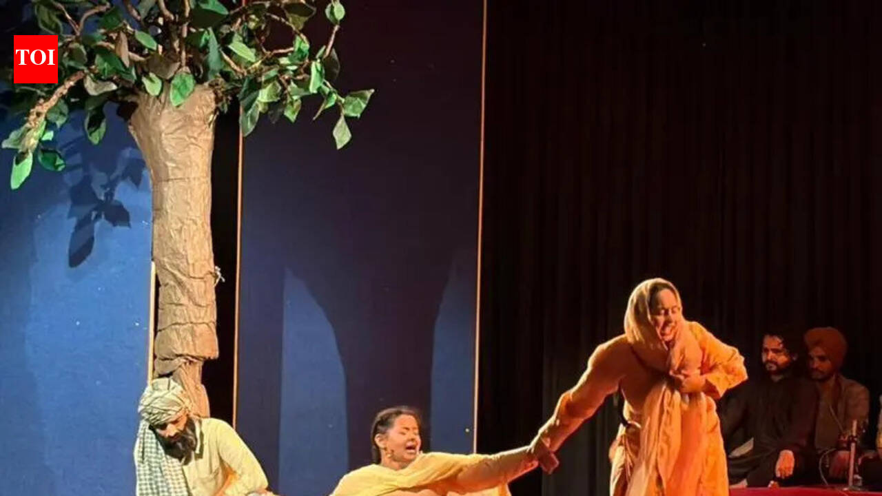 Diverse plays light up stage at Punjabi Rang Utsav | Chandigarh News ...