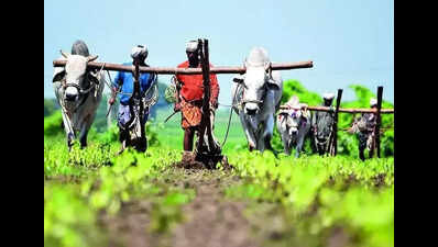 Telangana to release Rs 5,650 cr Rythu Bharosa aid for 45L farmers on April 20
