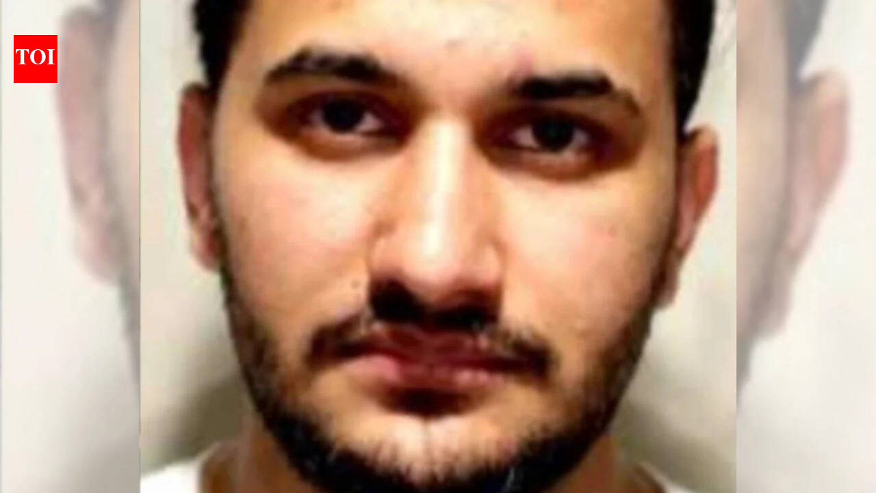 Indian-origin truck driver Baljeet Singh pleads guilty to causing death of two in crash in Canada, was playing mobile game