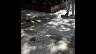 Alaknanda Double Murder: Row over loan settlement and reduced interest suspected by family behind attack