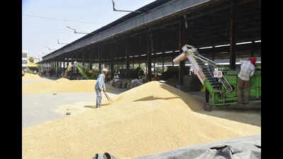 Slow start to procurement as 12% wheat lifted till April 17