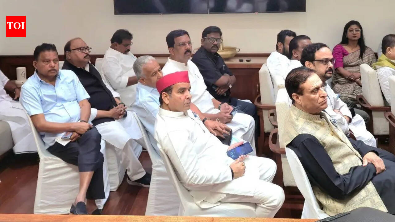 Manas Mangaraj joins INDIA bloc meet, triggers political buzz