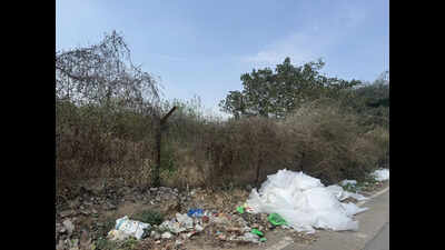 All done except revised wages: Minister on 18-month waste tender delay in Gurgaon