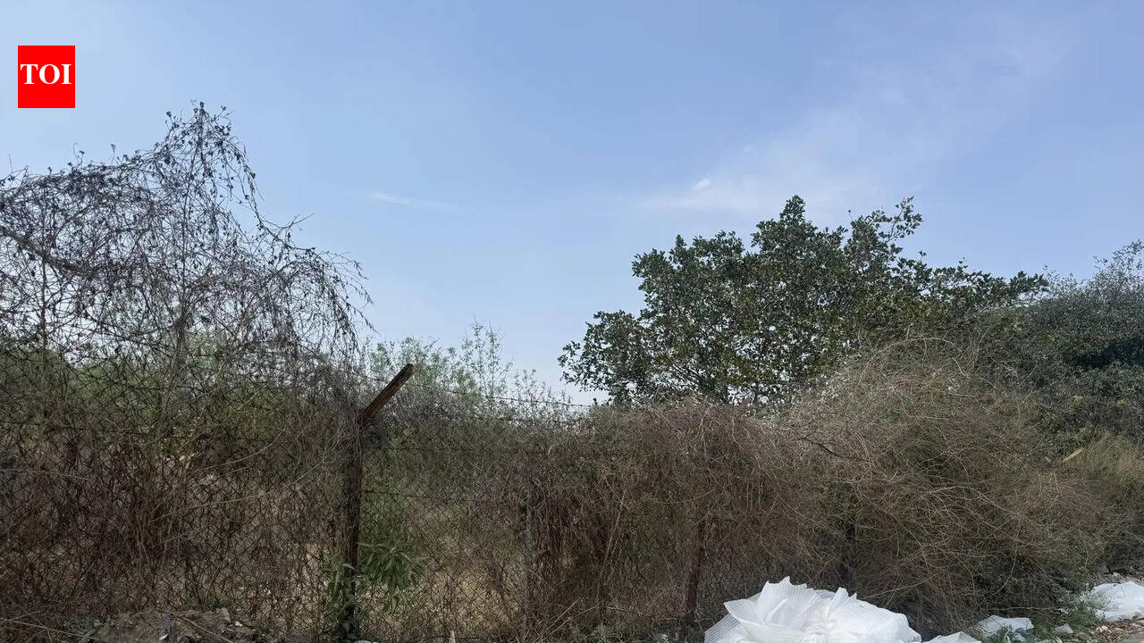 All done except revised wages: Minister on 18-month waste tender delay in Gurgaon