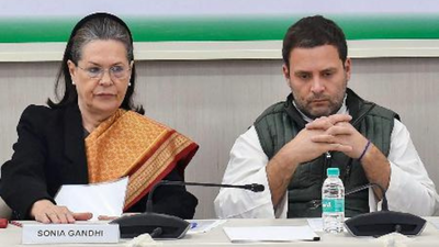 Court seeks Sonia Gandhi’s reply in voter list case, next hearing on May 16 | India News – The Times of India