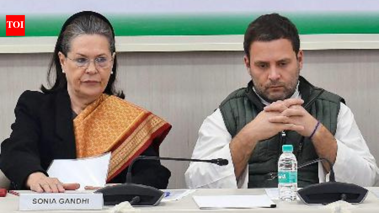 Court seeks Sonia Gandhi’s reply in voter list case, next hearing on May 16