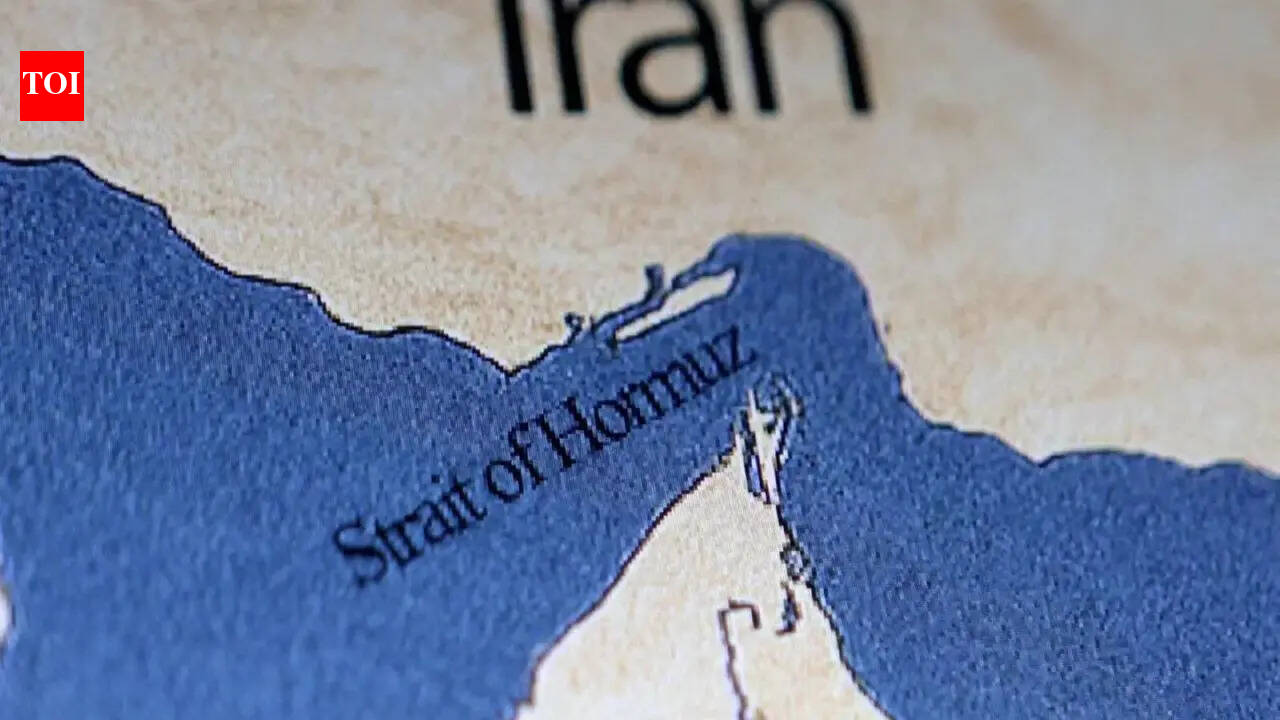 ‘Turn around immediately’: Moment Iranian Navy blocks Indian tanker in Strait of Hormuz - Watch