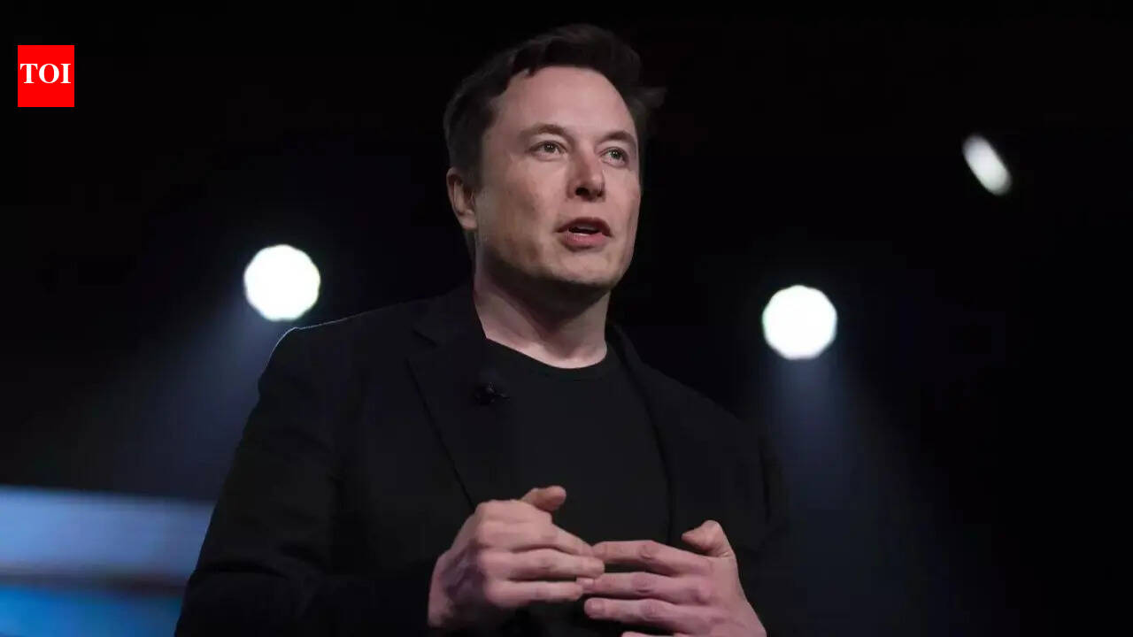 Tesla CEO Elon Musk: AI will mean everyone can have a penthouse if they..