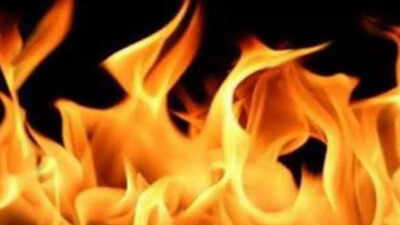 SUV catches fire near Delhi's Safdarjung hospital; no injuries