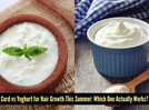 Curd vs yoghurt: Which is better for summer hair growth?
