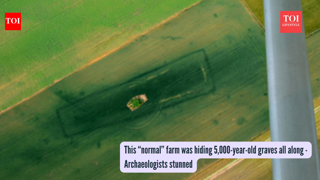 This “normal” farm was hiding 5,000-year-old graves all along -Archaeologists stunned