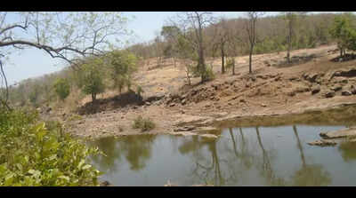 Spain, Japan & Dutch cos eye Gargai dam consultancy work