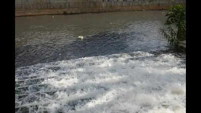 Waste to biogas: Govt looks to earnRs 120 crore from Bengaluru’s sludge