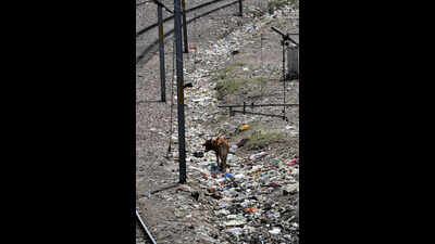 Despite clean-up efforts, waste continues to plague Delhi's railway tracks