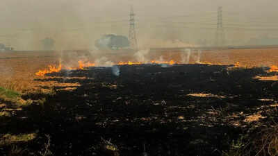 Punjab records 4 new crop residue burning cases, MP worse affected