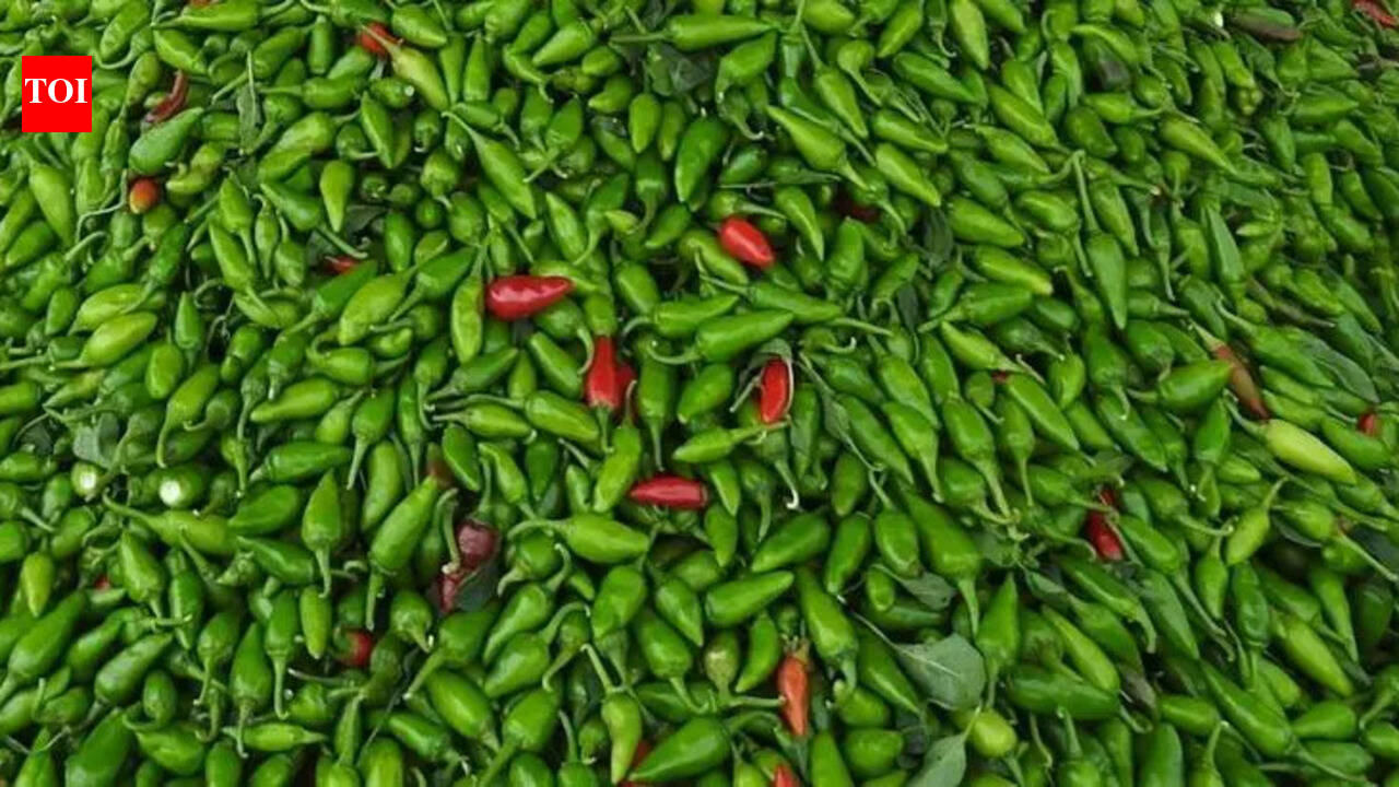 Ferozepur farmers to export green chillies to Middle East
