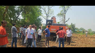 Plea for NGT lens on ‘tree-felling’ for project